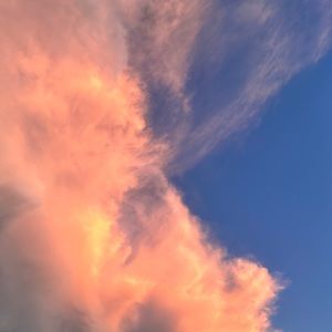 Meet your Posher, Gabriel